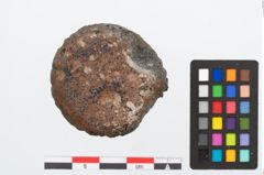 Foto von Glasaugenperle (NHMW-PRAE-025402)